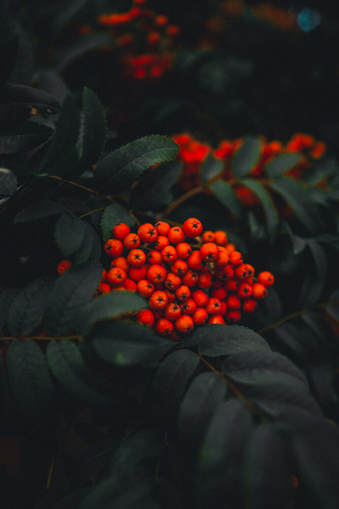 Photograph by Кристина Аносова