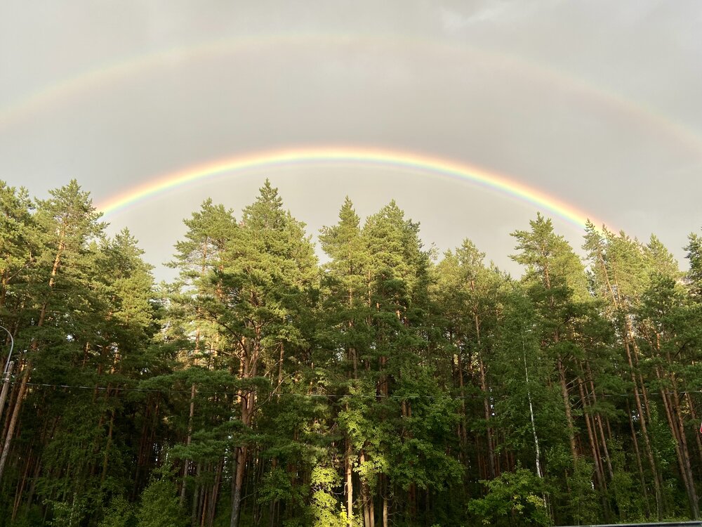 Фотография автора Ольга Куркова