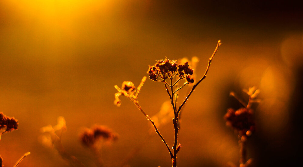 Photograph by Дмитрий Земсков