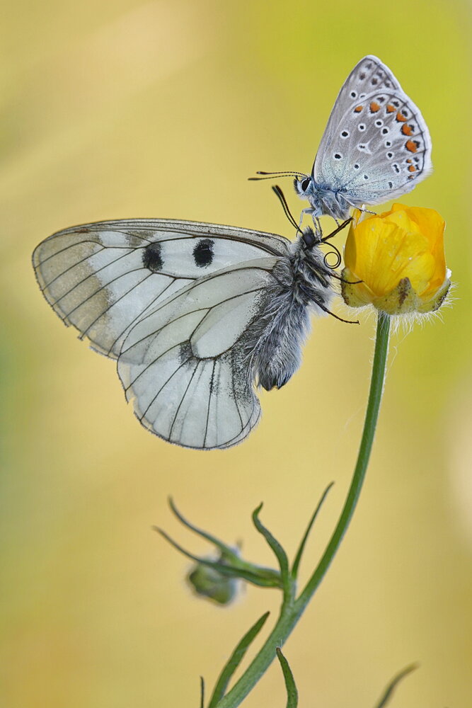 Photograph by Леонид