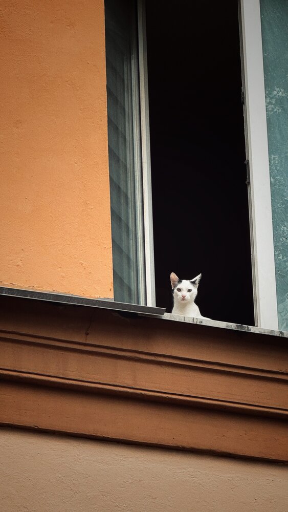 Photograph by Анастасия Яцковская