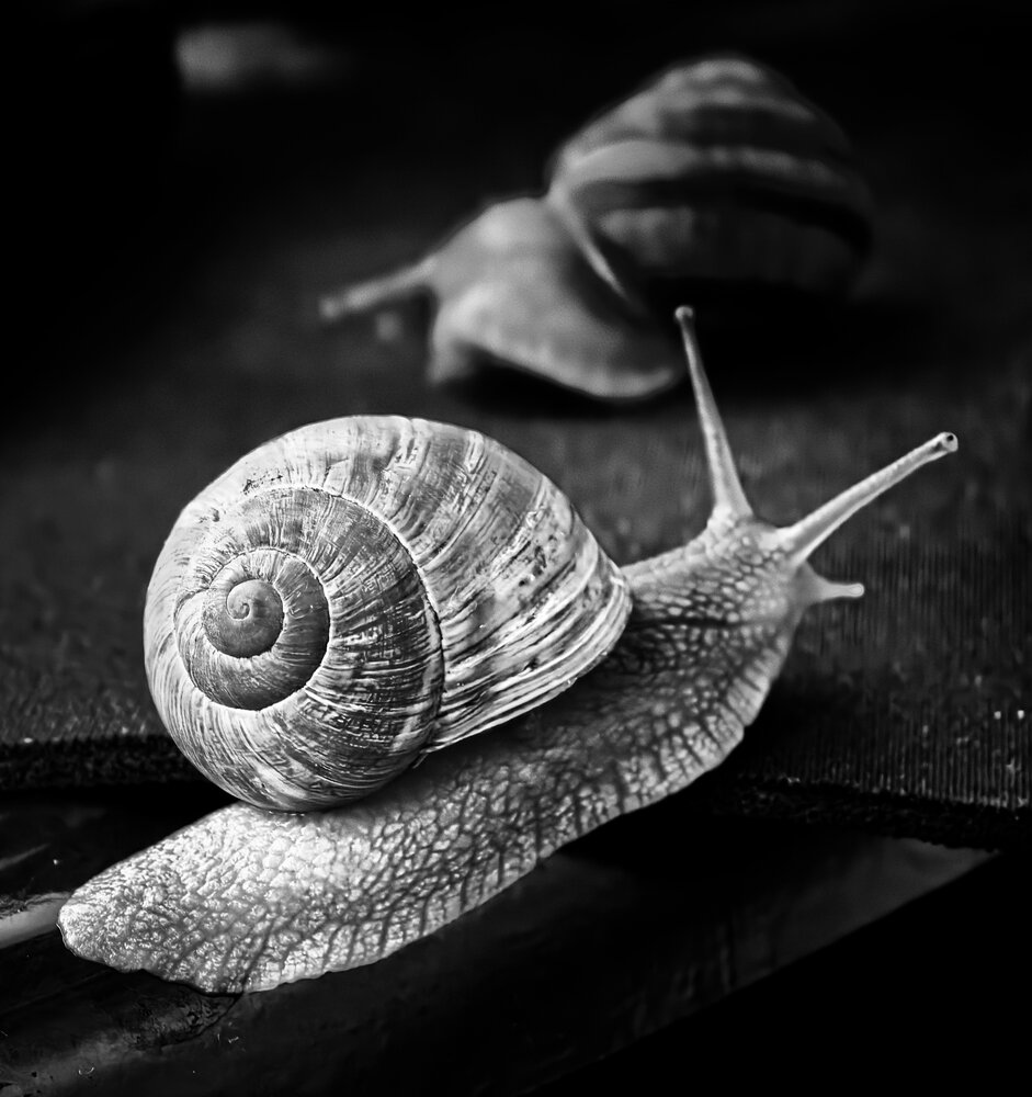 Photograph by Кривенко Владимир