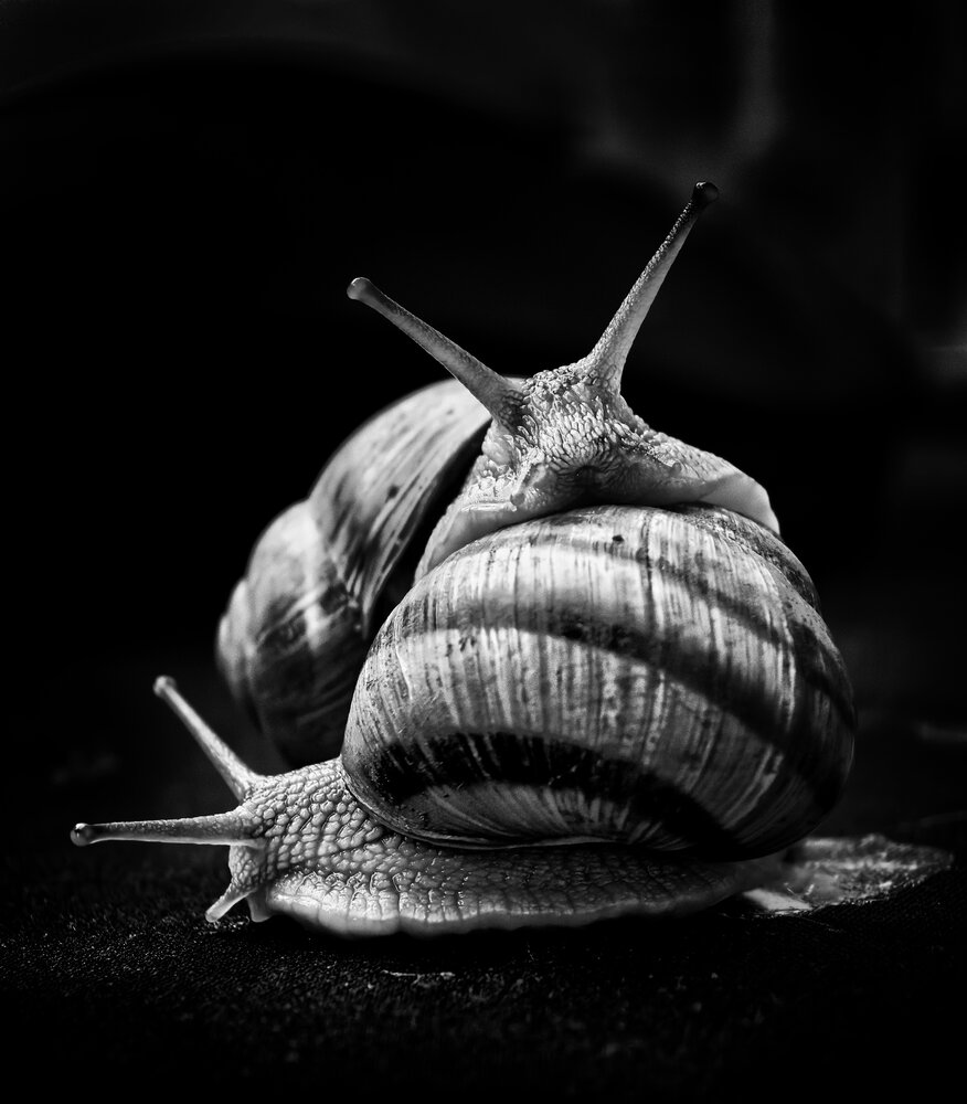 Photograph by Кривенко Владимир