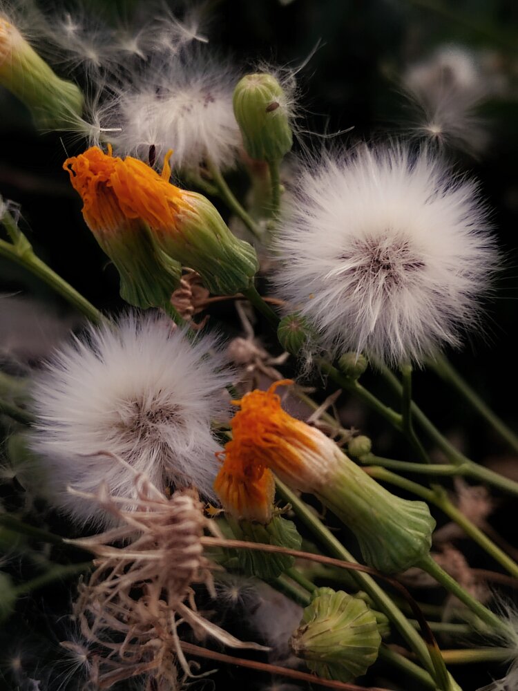 Photograph by Наталья Веряскина