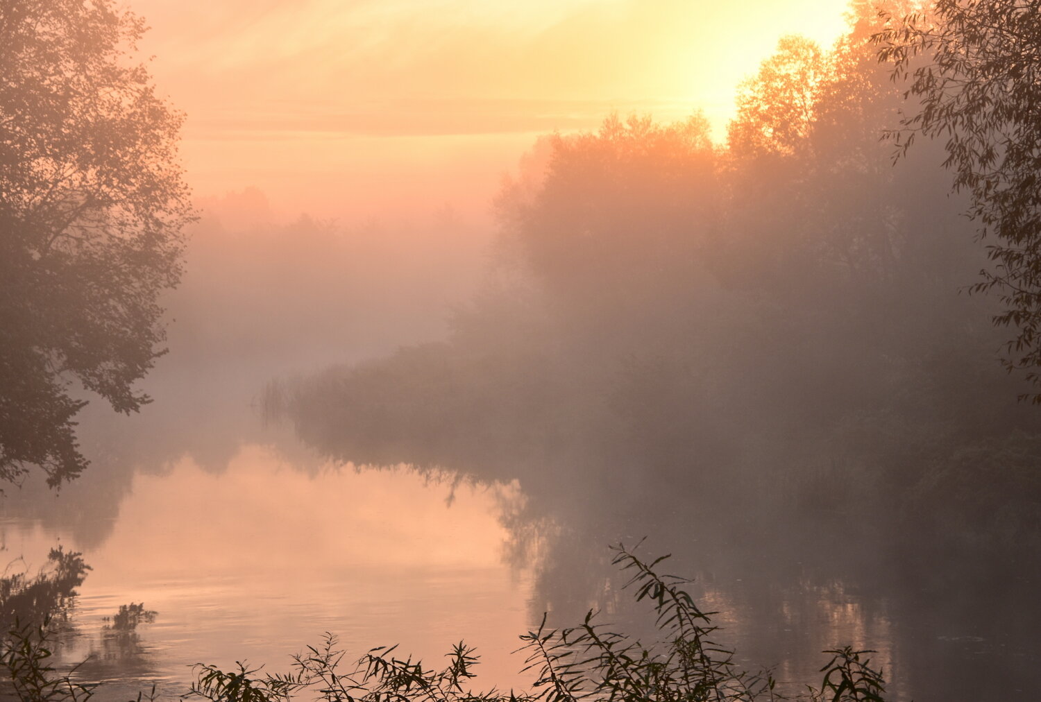 Photo #14012797