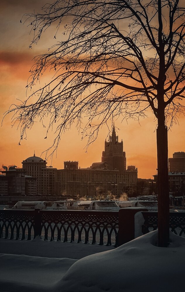 Фотография автора Светлана Моисеева