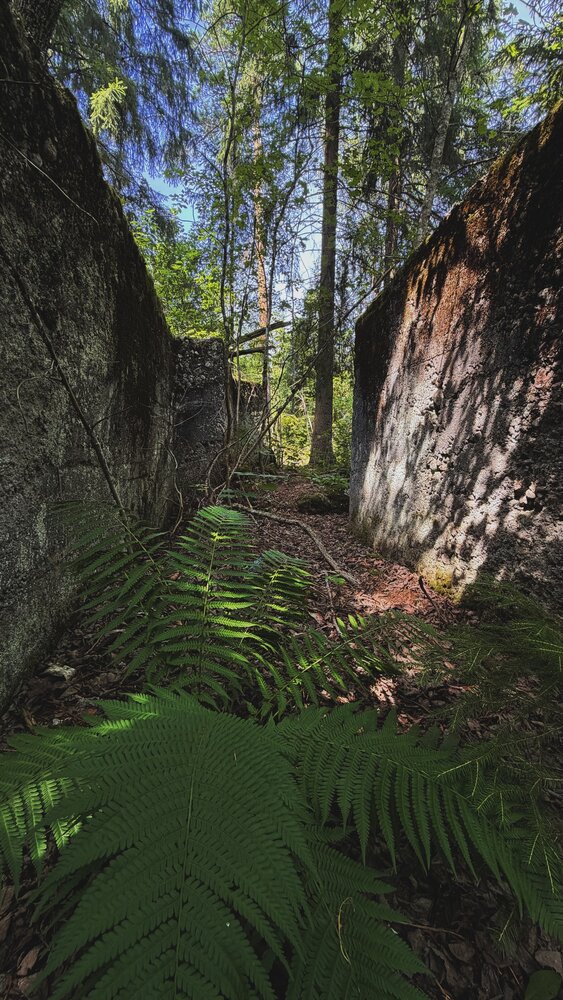 Photograph by Анечка Машенькина