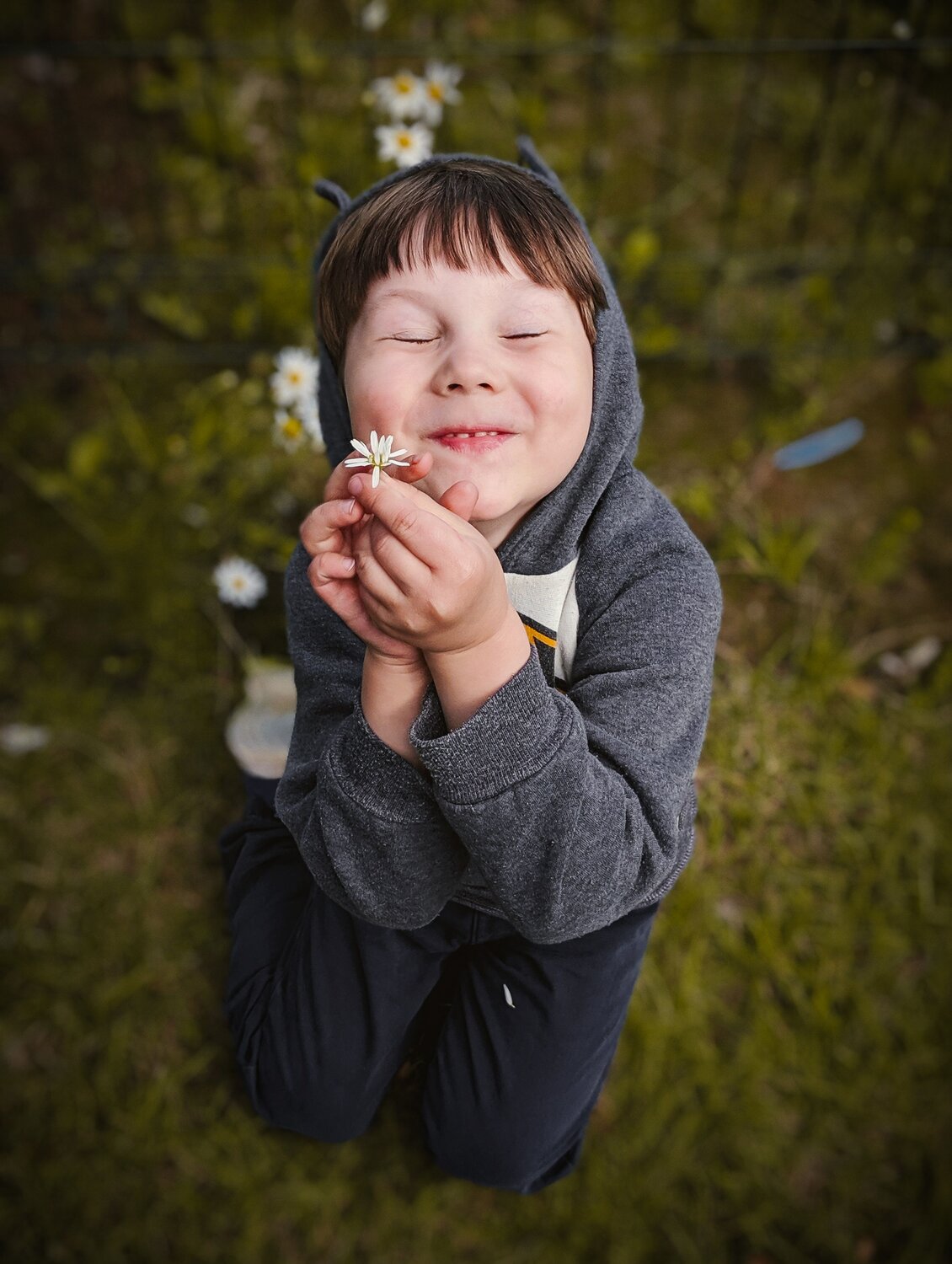 Photo #14012965
