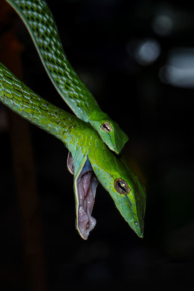 Photograph by Dhruv Shilpi