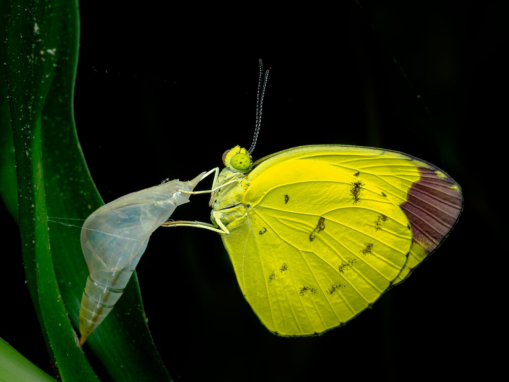 Photograph by Soon Teong Low