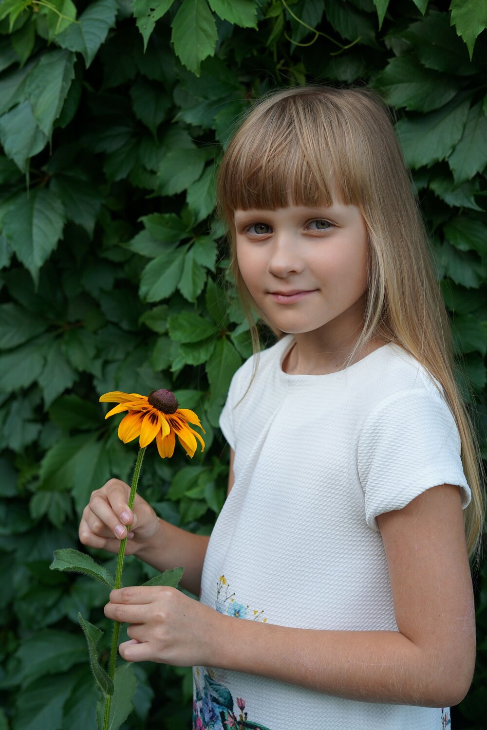 Photo #14013099
