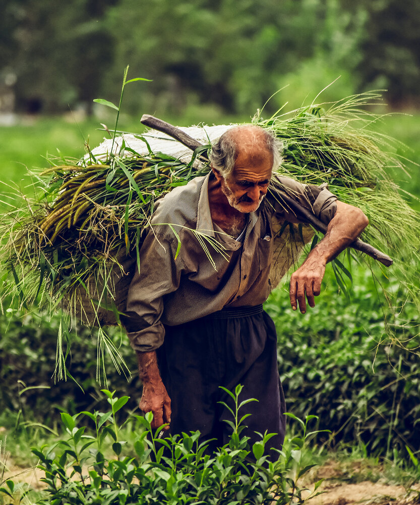 Photograph by mohsen biazar