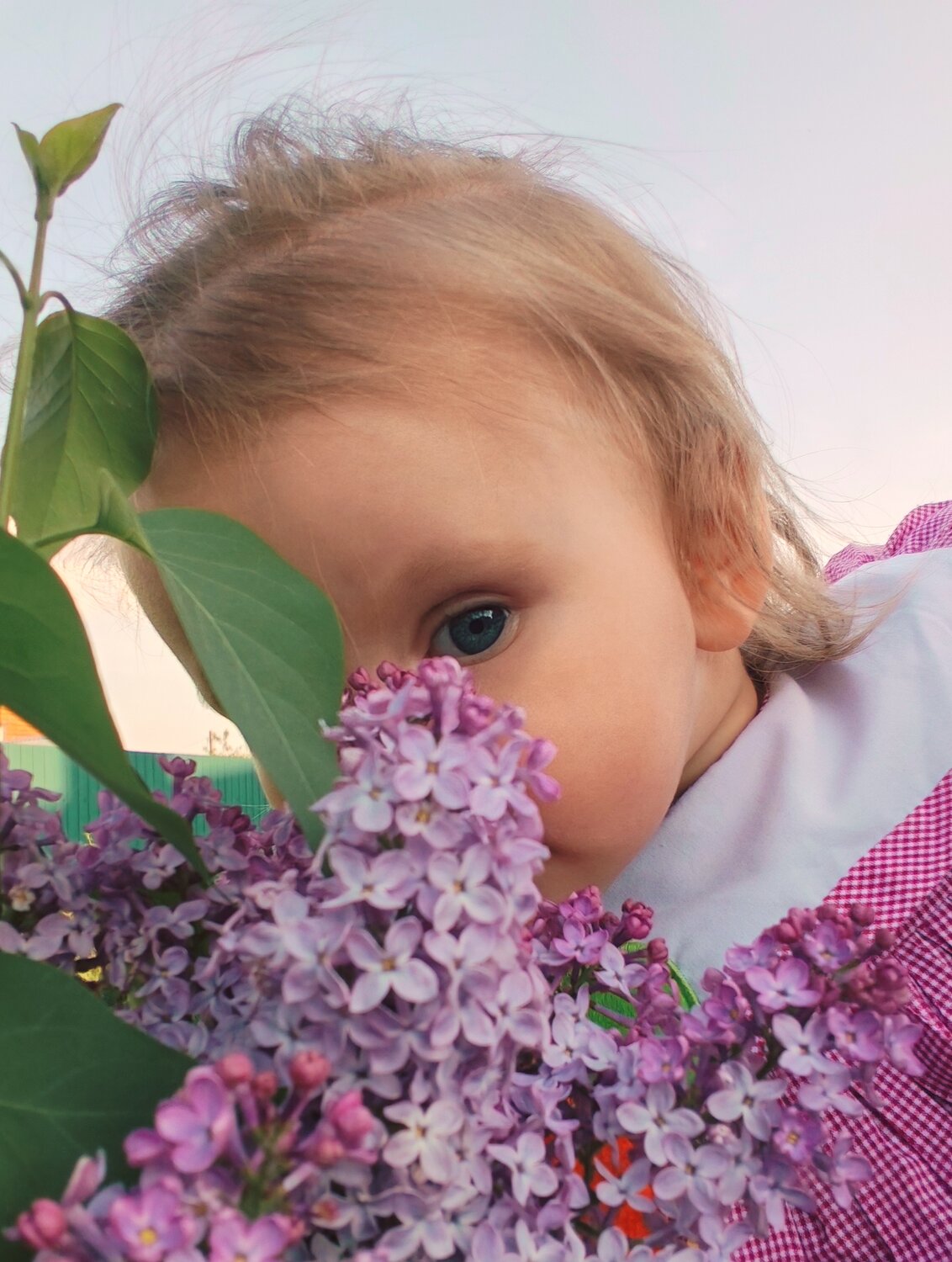 Photo #14013172