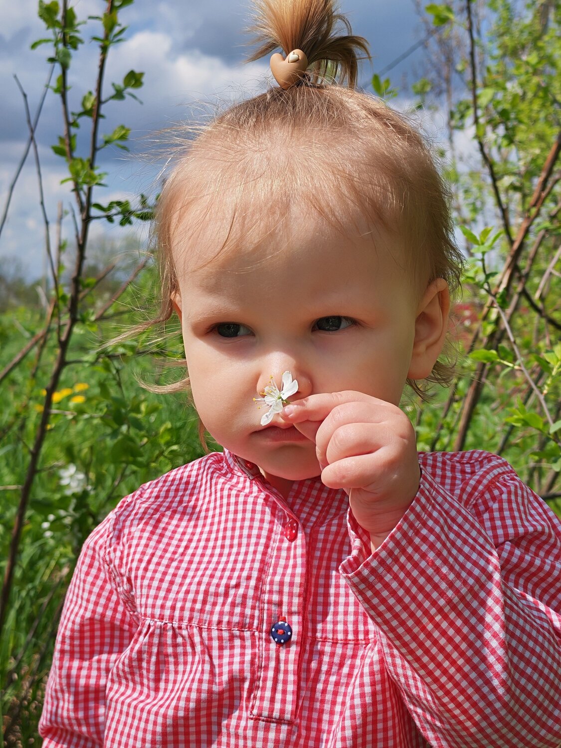 Photo #14013173