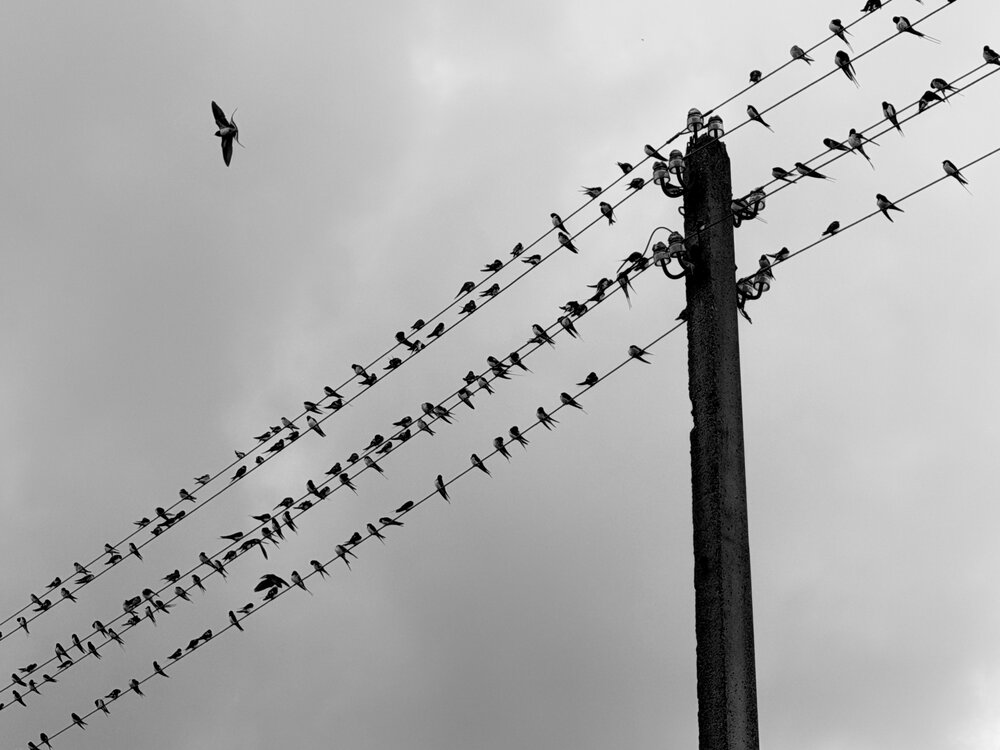 Photograph by Марина Никифорова