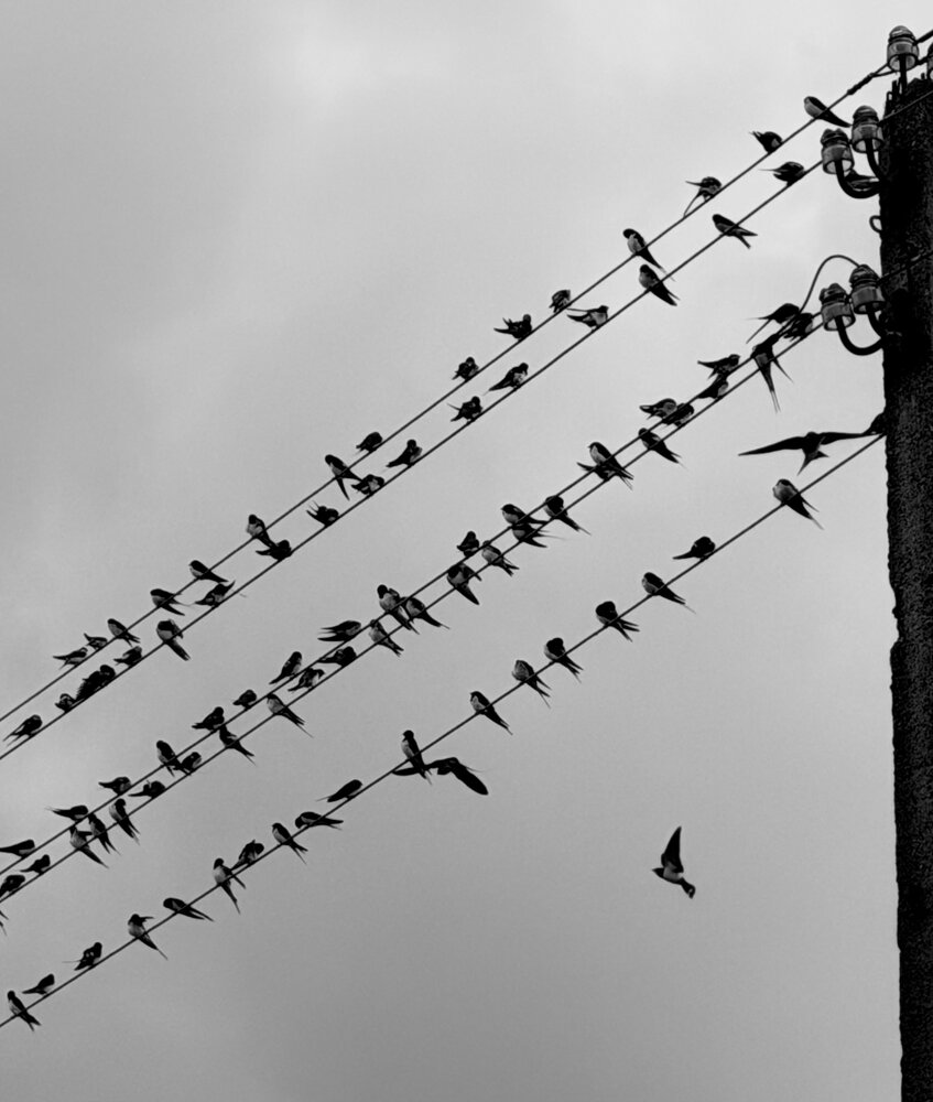 Photograph by Марина Никифорова
