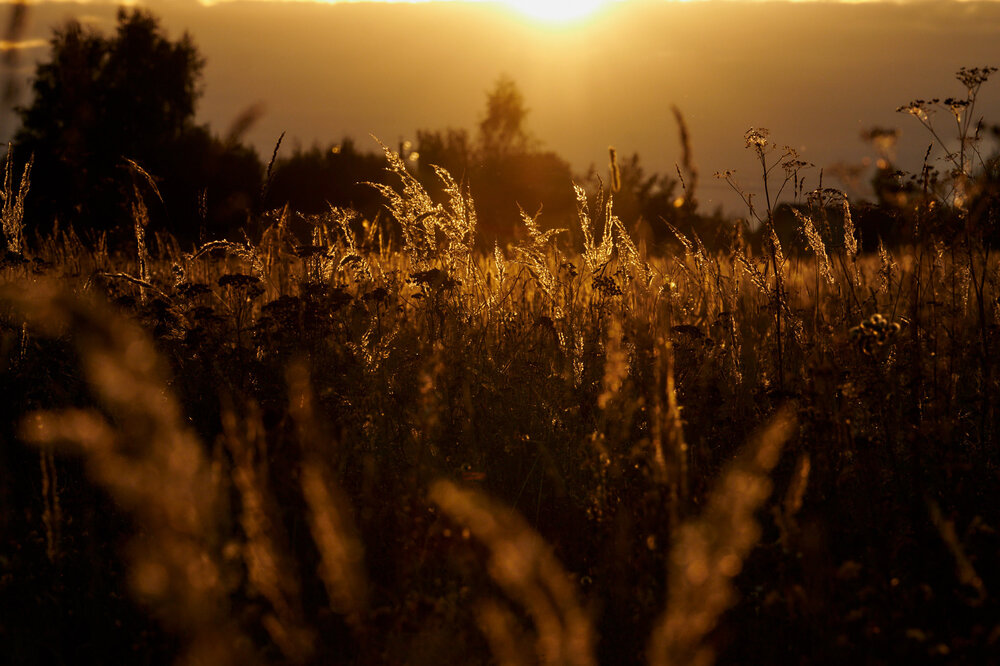 Photograph by Ирина Бехтерева