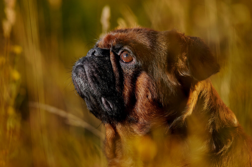 Photograph by Ирина Бехтерева