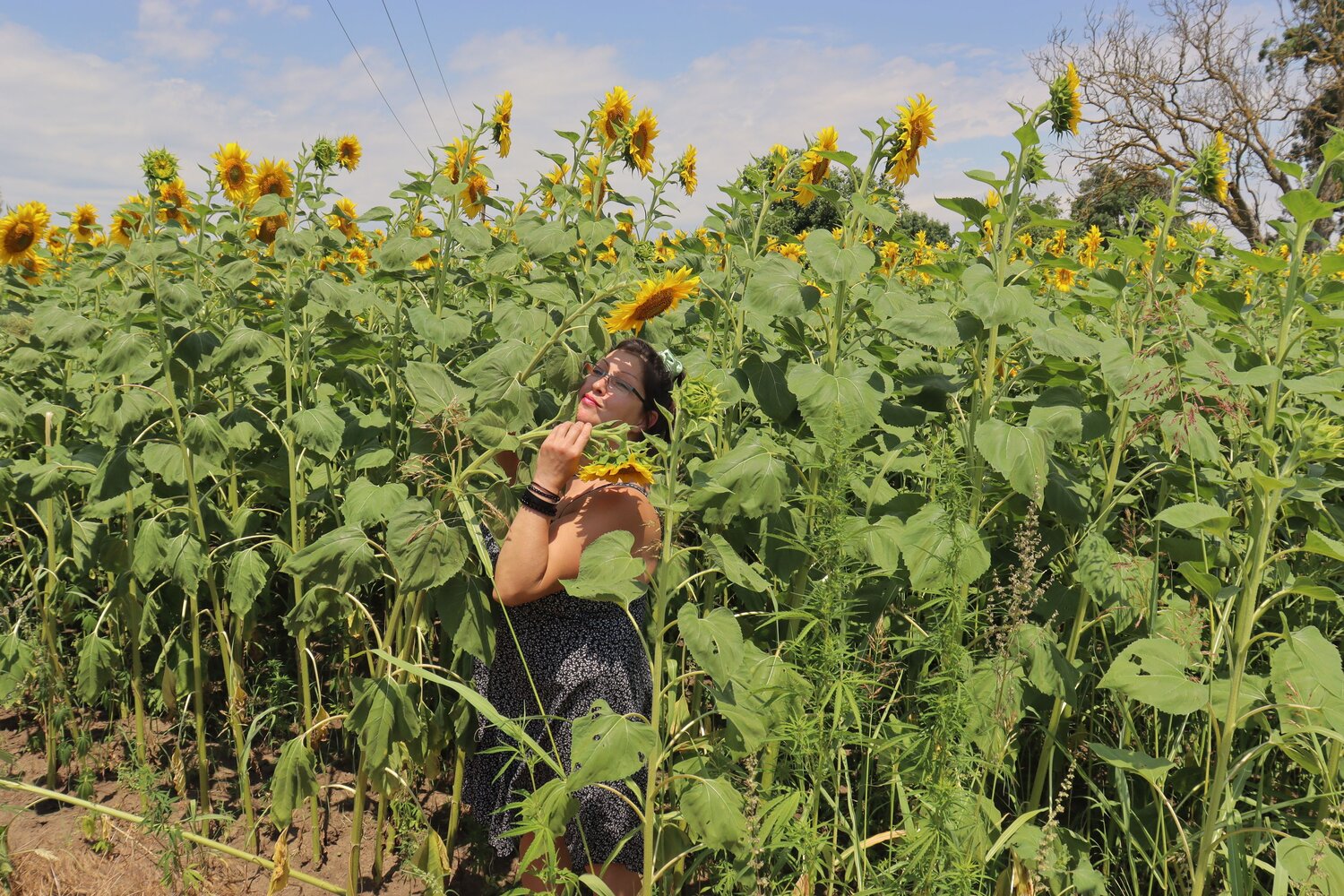 Sunflower Soul