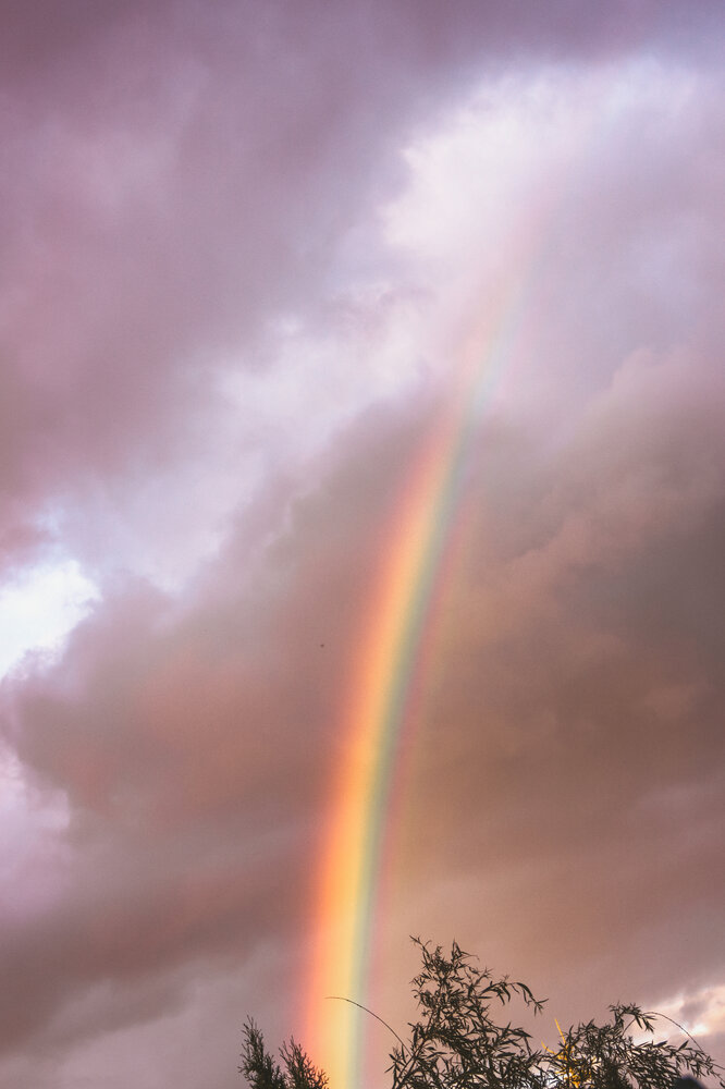 Photograph by Надежда Чурилова
