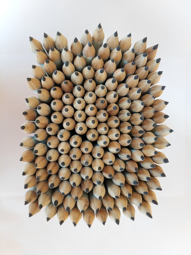 Conceptual hedgehog