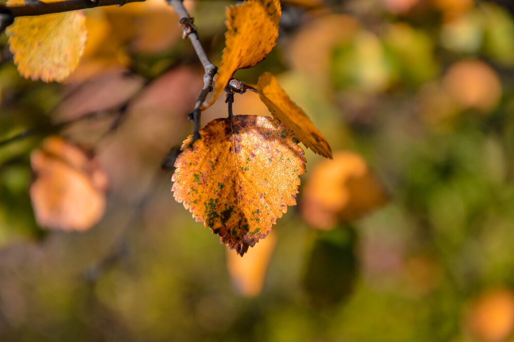 Photograph by Константин Попов