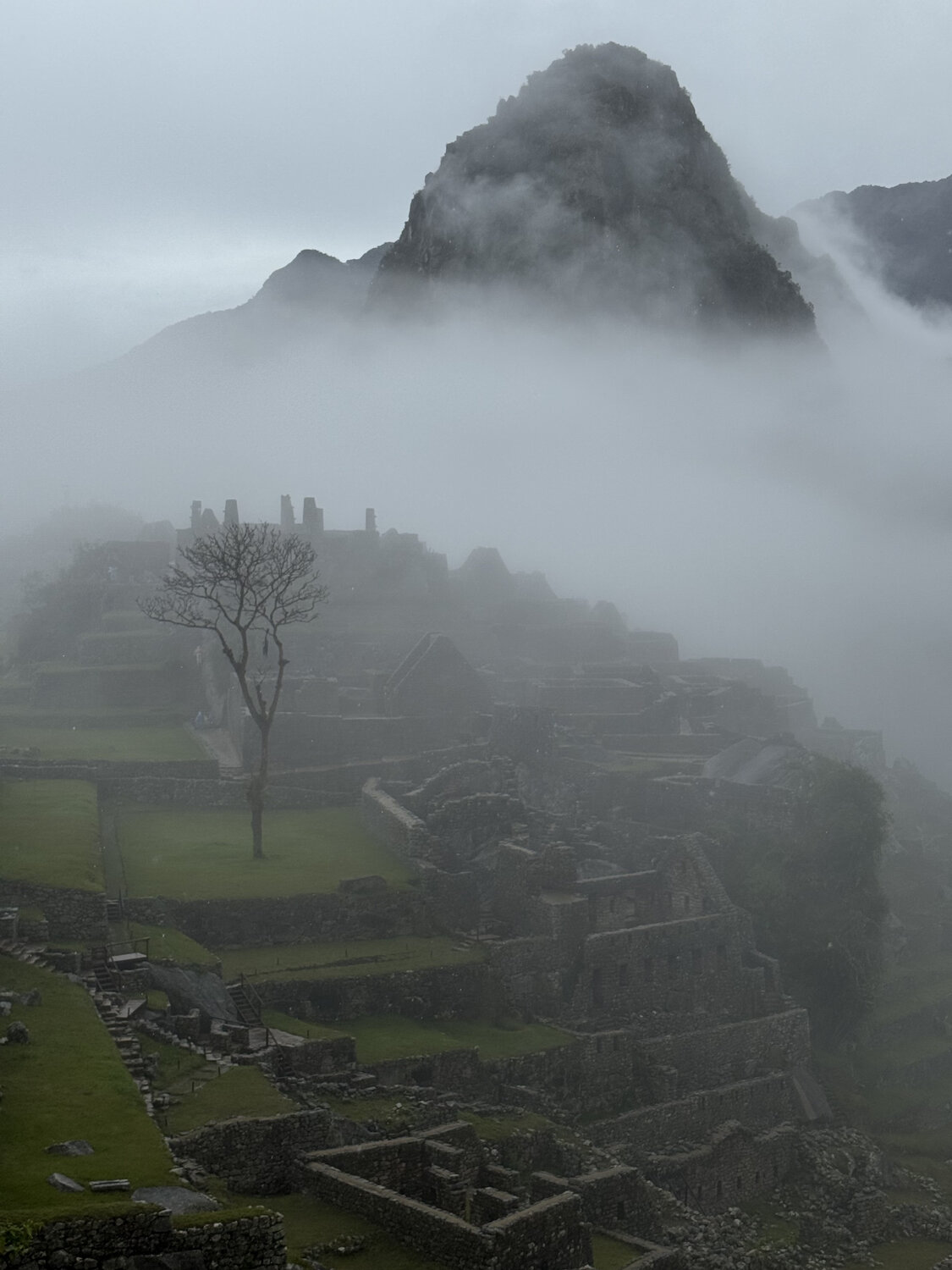 Photo #14013459