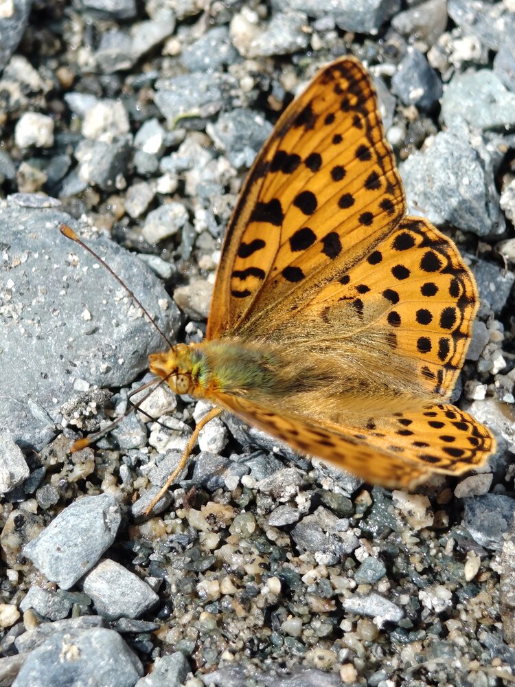Photograph by Алеся Концевенко