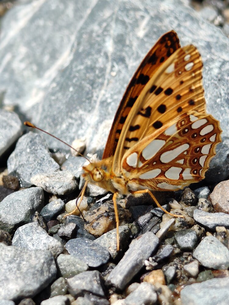 Photograph by Алеся Концевенко