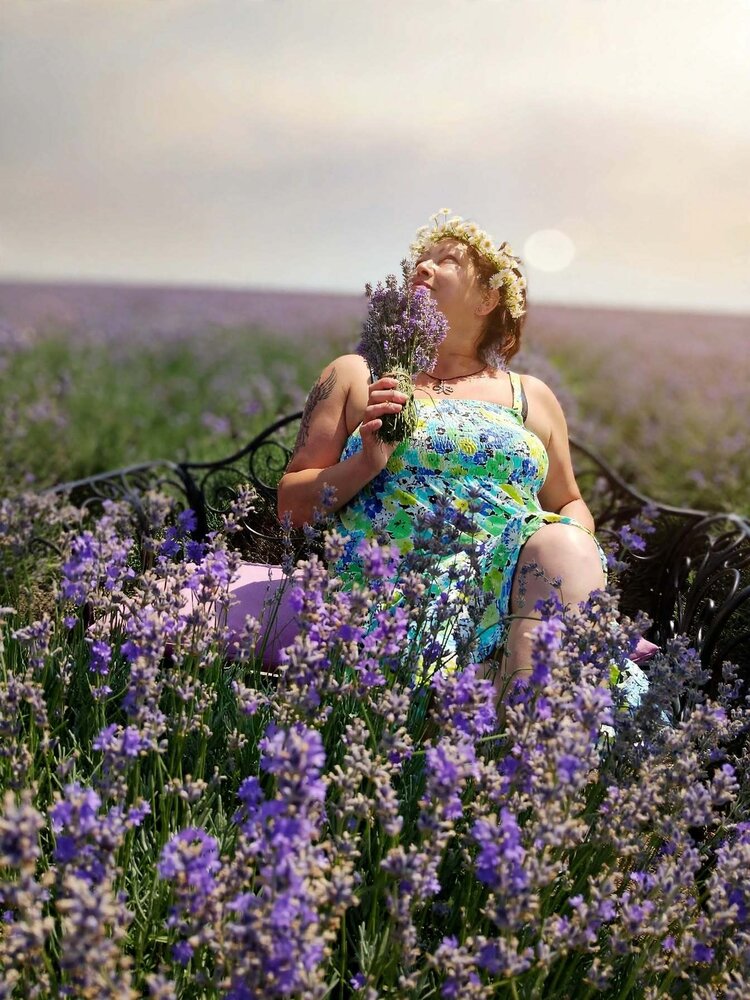 Lavender Dreams