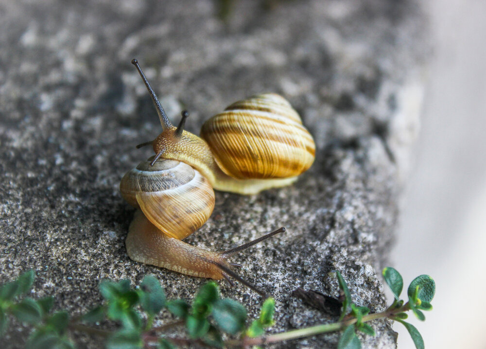 Photograph by Евгения Флиорчук