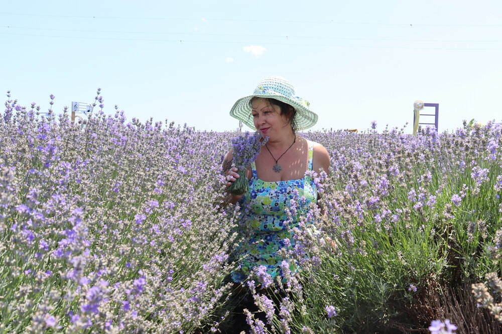 Scent of Summer