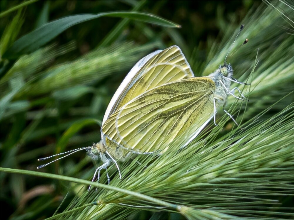Photograph by Хавронина Марина