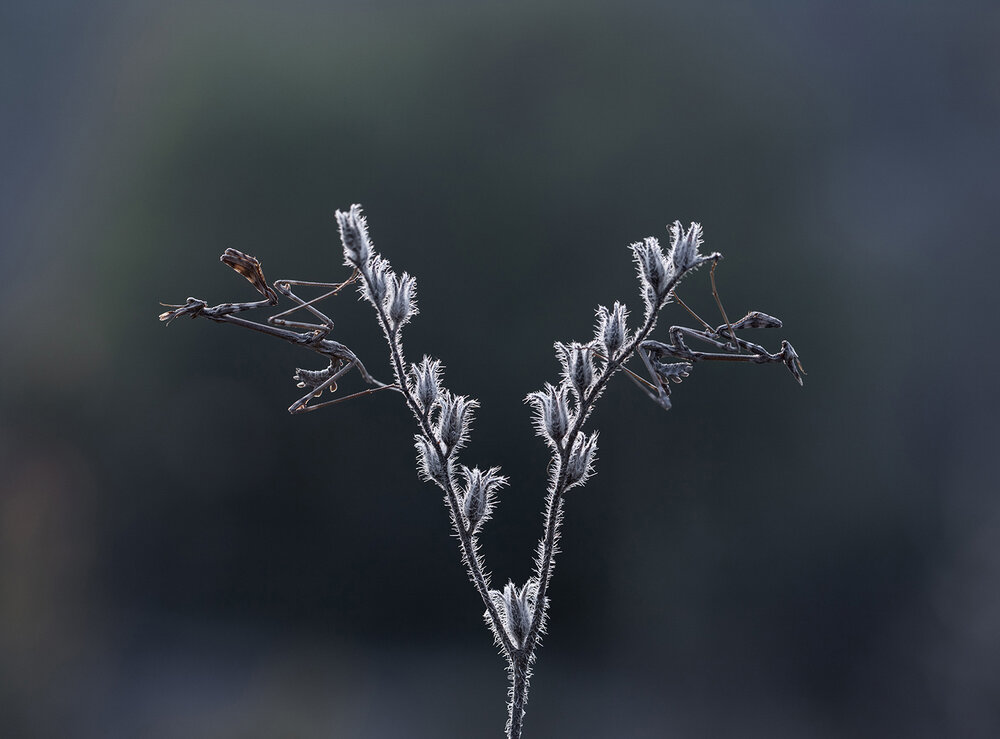 Photograph by ERDEM ARIF YIGIT
