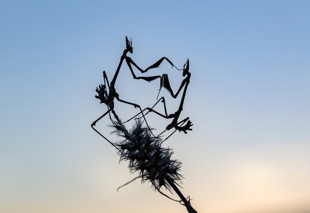 Photograph by ERDEM ARIF YIGIT