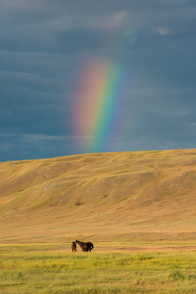 Photograph by галина лапшина