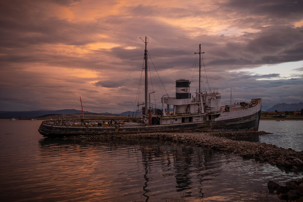 Photo #14013850