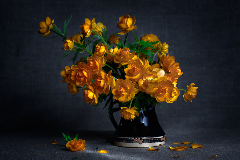 Photograph by Olga Akhmetova