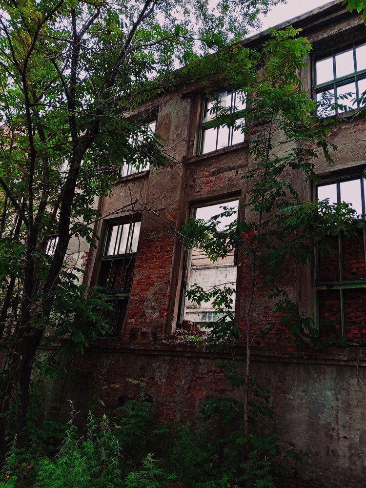 Photo #14014001