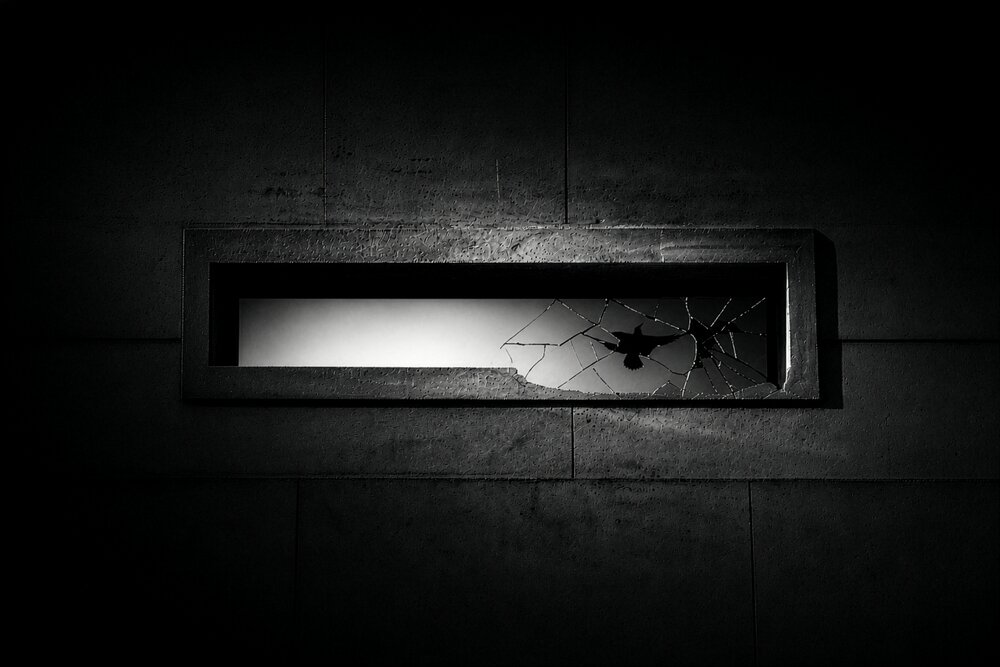 Bird and Glass.