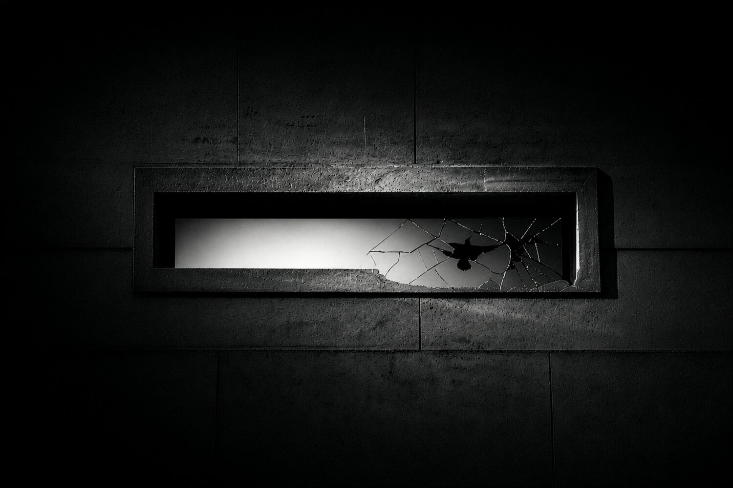 Bird and Glass.