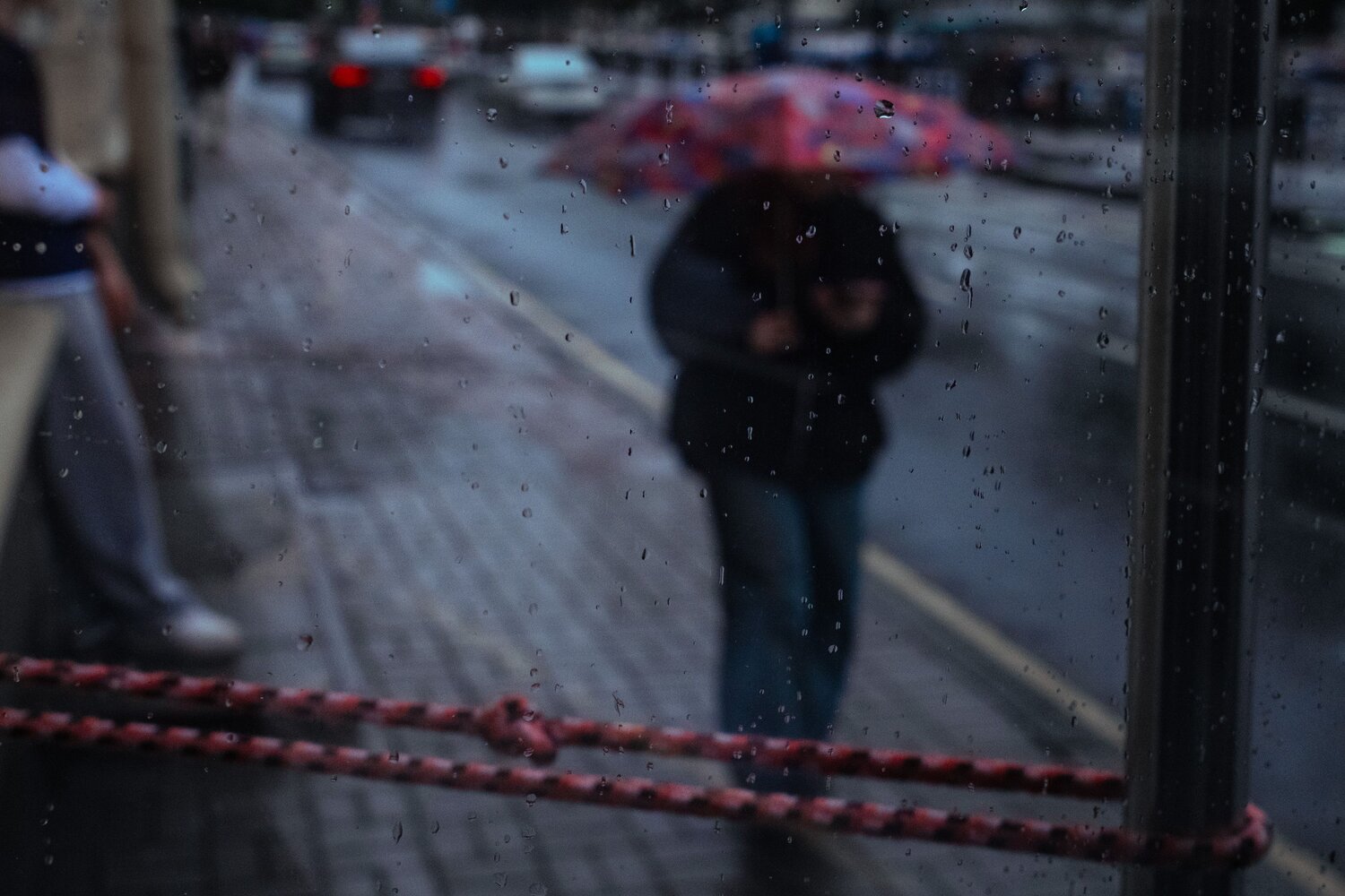 Photo #14014132