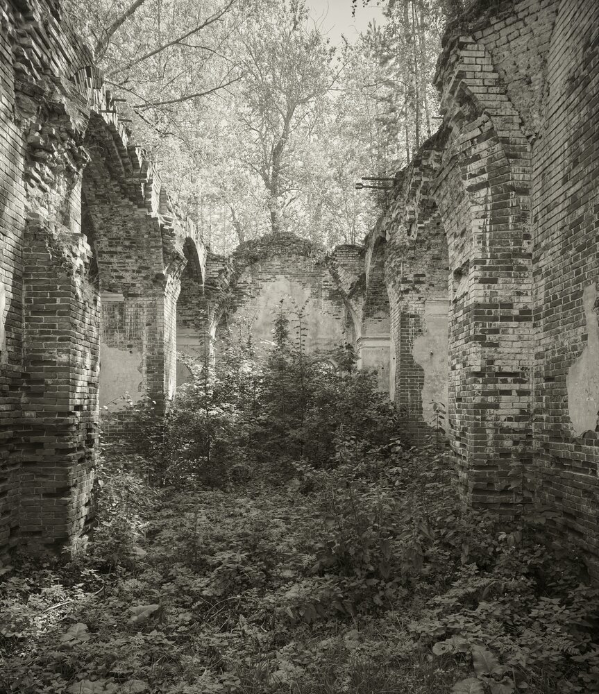 Фотография автора Oleg Borodin