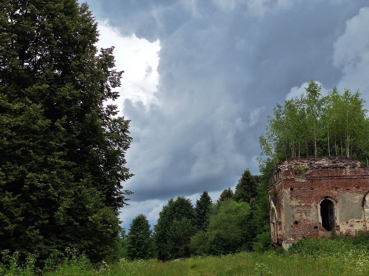 Photo #14014200