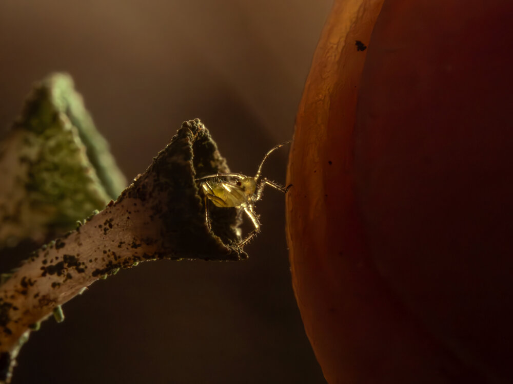 Photo #14014246