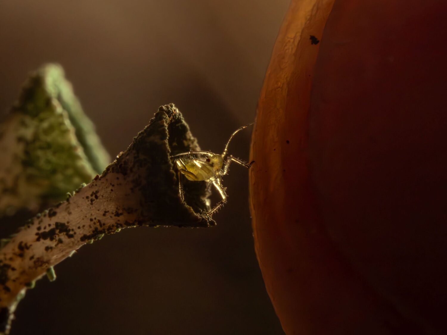 Photo #14014246