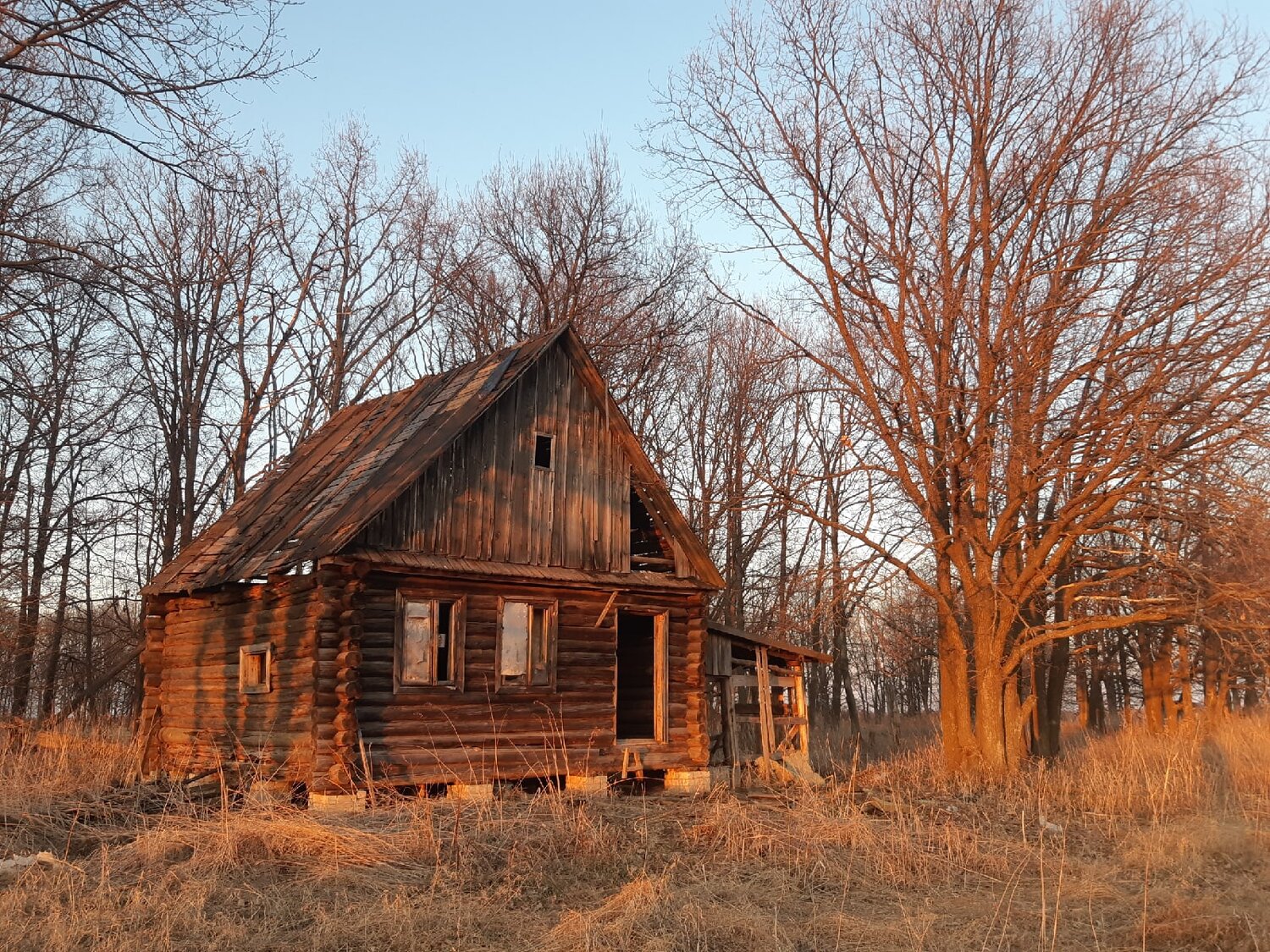 Photo #14014310