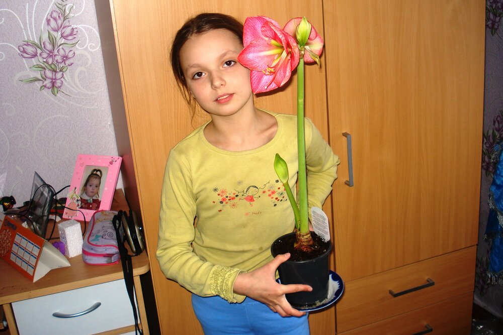 Photograph by Алексей Макаров