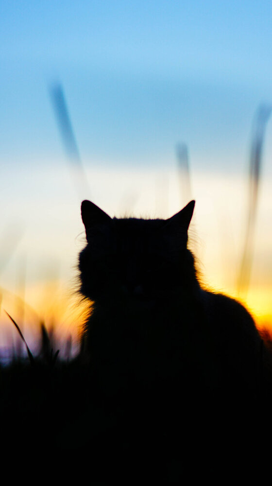 Photograph by Дмитрий Земсков