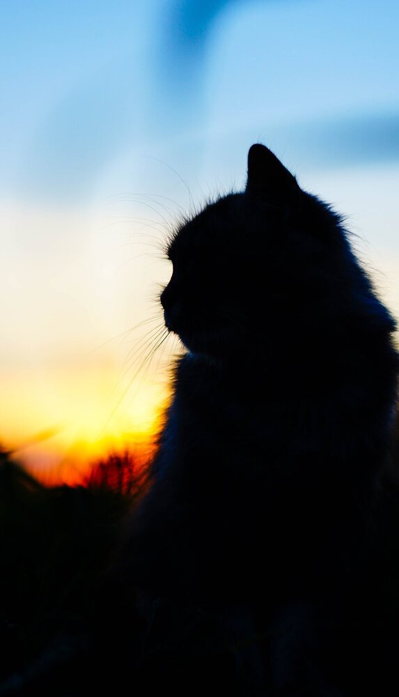 Photograph by Дмитрий Земсков